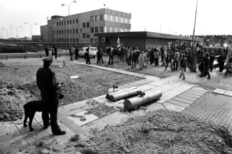 Demonstranten bij de kerncentrale (binnen de hekken), Bestanddeelnr 930-2069