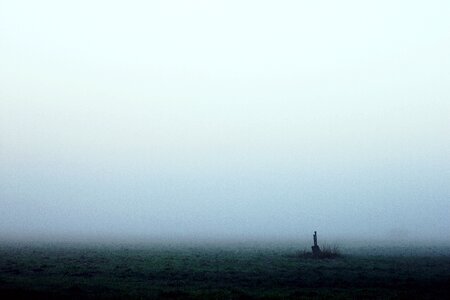 Morgenstimmung mood true detective