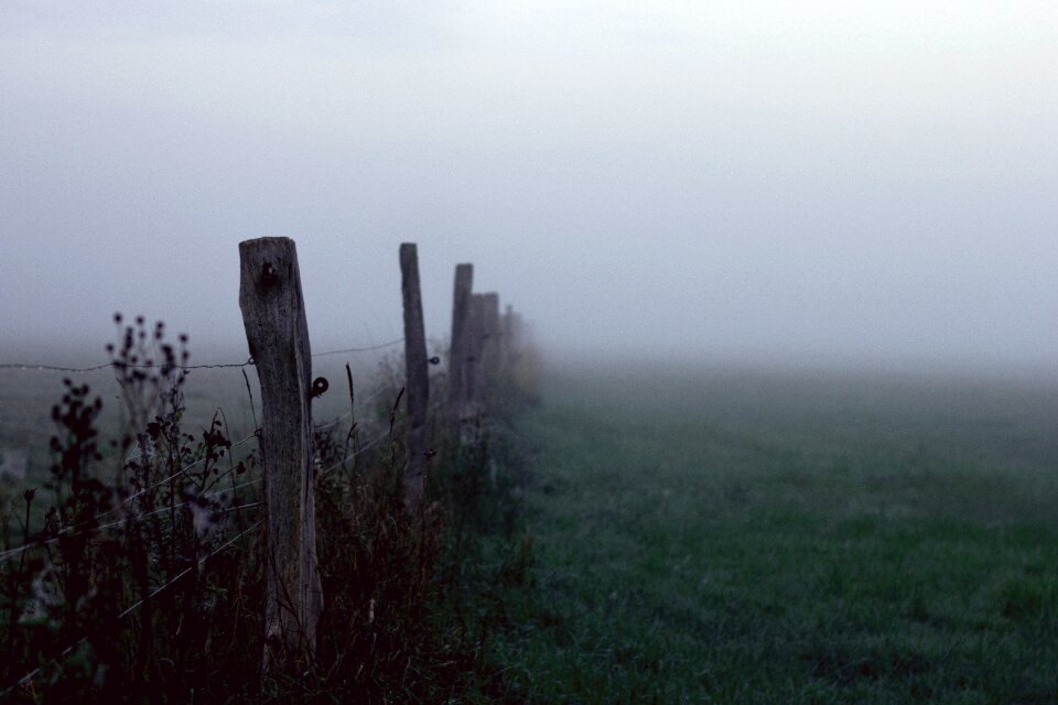Morgenstimmung mood true detective