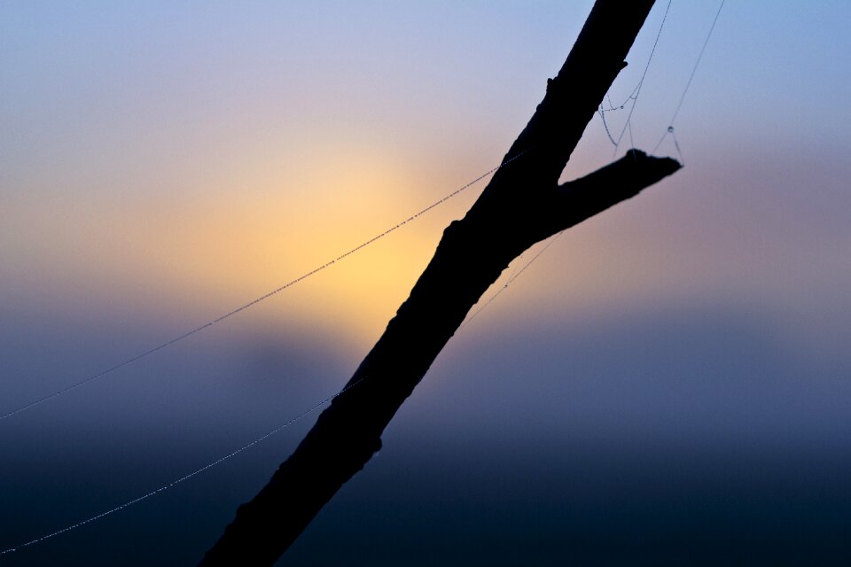 Morgenstimmung mood true detective
