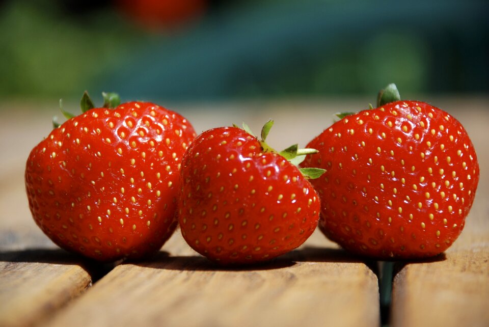 Red wooden fresh