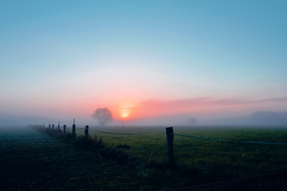 Morgenstimmung mood true detective