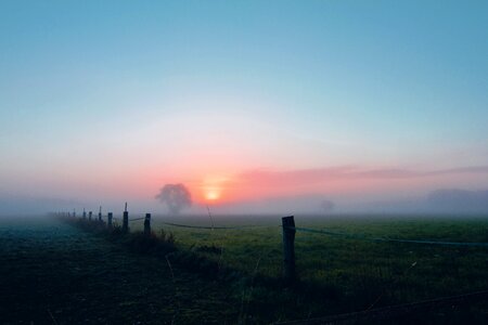 Morgenstimmung mood true detective photo