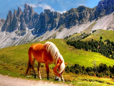 Italy alpine view photo