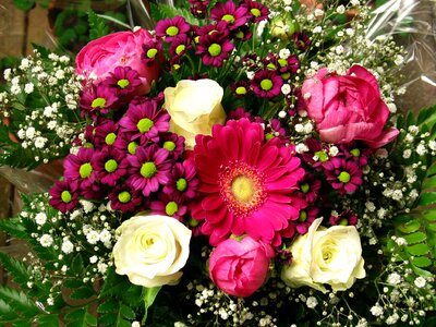 Celebration nature background