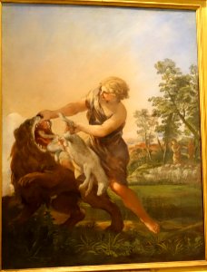 David killing the Lion, by Pietro da Cortona, 1600s, oil on canvas - Pinacoteca Vaticana - Vatican Museums - DSC01211