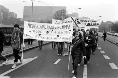 Demonstratie in Den Haag uit protest tegen ontslag van Belgische lerares Eliane , Bestanddeelnr 931-9289