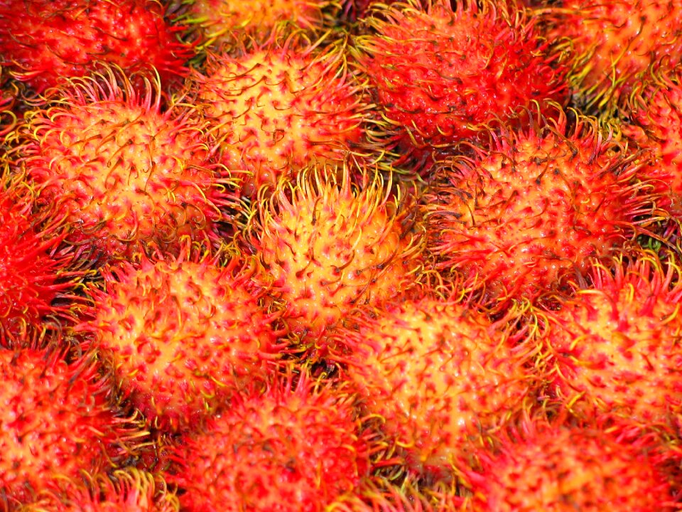 Vitamins fruity delicious