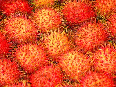 Vitamins fruity delicious