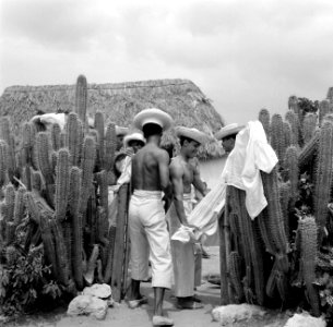 Dansers en muzikanten in Barber op Curaçao, Bestanddeelnr 252-3380