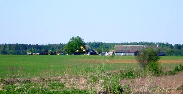 Daratava1