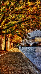 Paris seine promenade photo