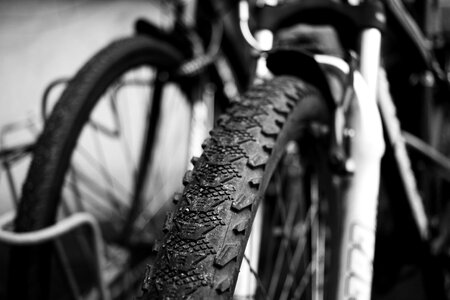 Bicycle cycle gray bike photo