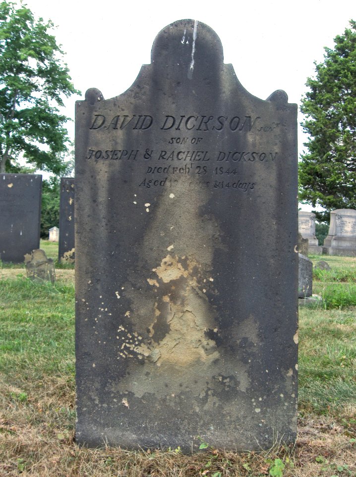 David Dickson Tombstone, Hiland Cemetery, 2015-08-17, 01