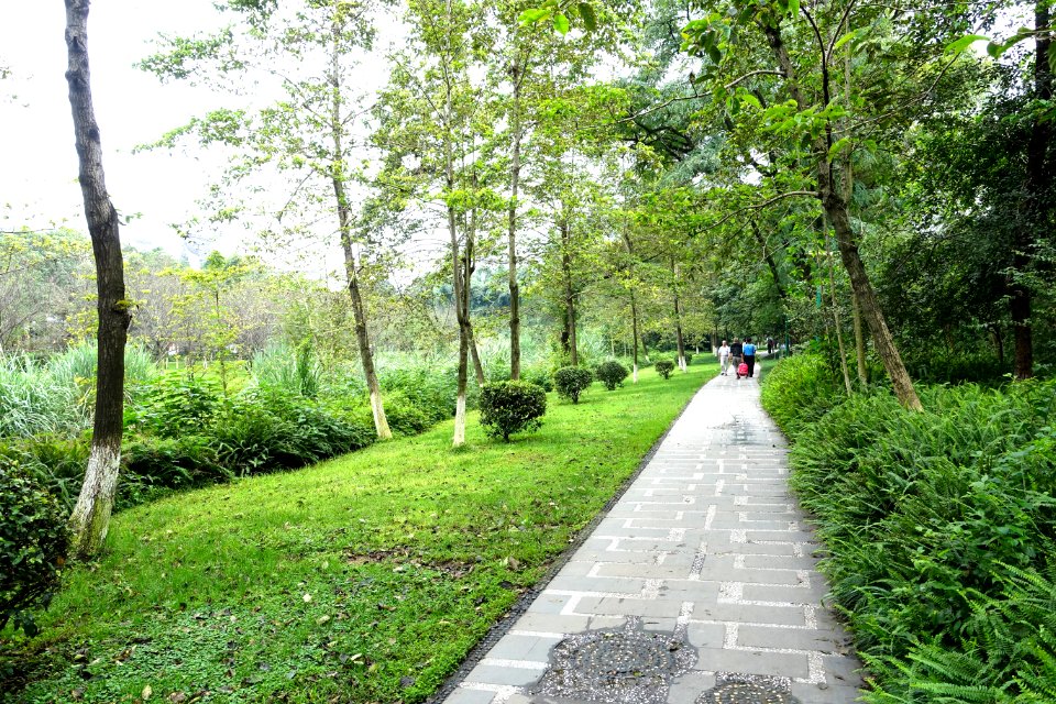Dashahe River Greenway - Chengdu, China - DSC05538