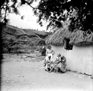 Danseressen in Barber op Curaçao, Bestanddeelnr 252-3475