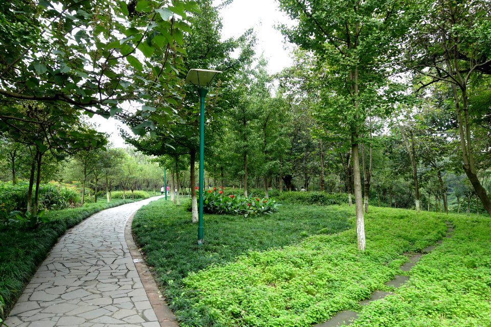 Dashahe River Greenway - Chengdu, China - DSC05533