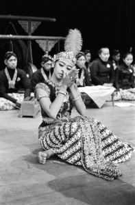 Danseres, Bestanddeelnr 924-4128