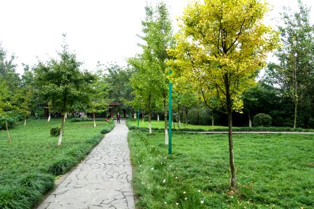 Dashahe River Greenway - Chengdu, China - DSC05531