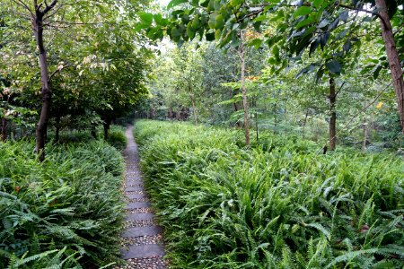 Dashahe River Greenway - Chengdu, China - DSC05520