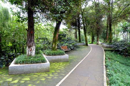 Dashahe River Greenway - Chengdu, China - DSC05544