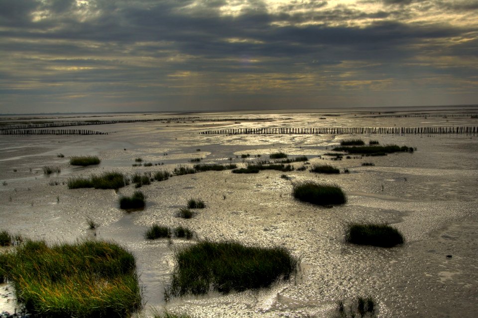 Das Watt vor Friedrichskoog-Spitze