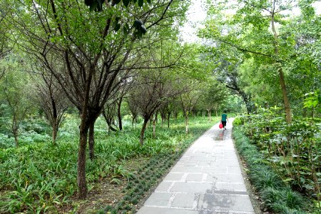 Dashahe River Greenway - Chengdu, China - DSC05535