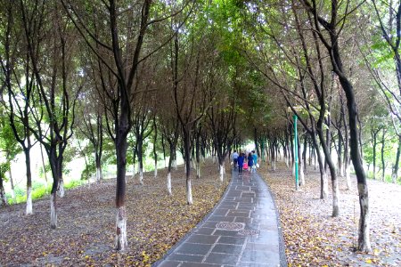 Dashahe River Greenway - Chengdu, China - DSC05542