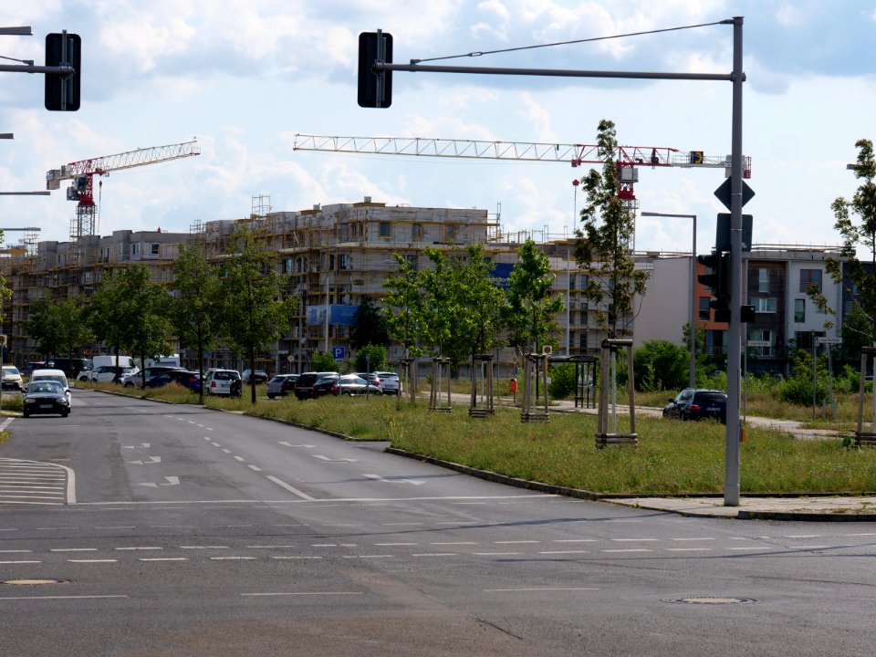 Daumstraße at north end 2019-07-21 04