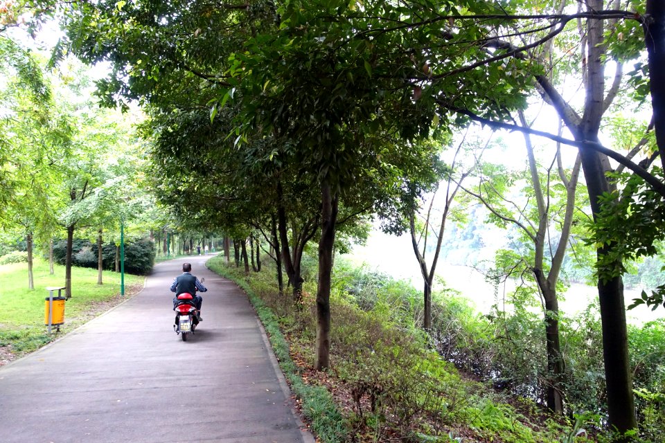 Dashahe River Greenway - Chengdu, China - DSC05545