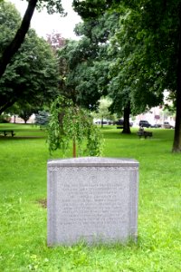 Daughters of the American Revolution marker - Albany, NY - DSC08362 photo