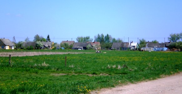 Daukainiai1