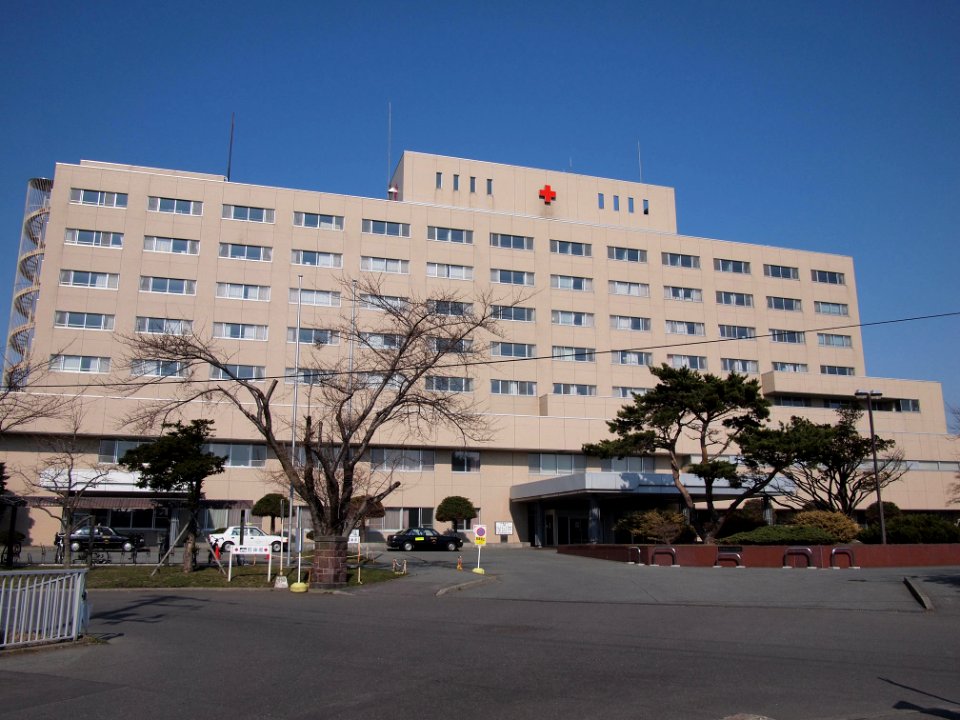 Date Red Cross Hospital