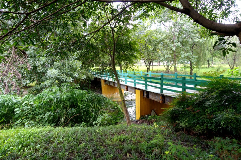 Dashahe River Greenway - Chengdu, China - DSC05526