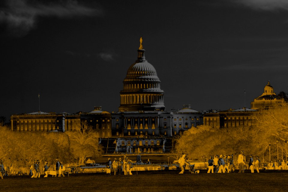 Darker Capital Hill (206712577)