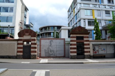 Darmstadt, Alice-Hospital, Aufgang