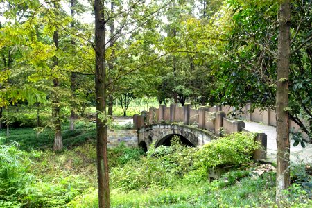 Dashahe River Greenway - Chengdu, China - DSC05549