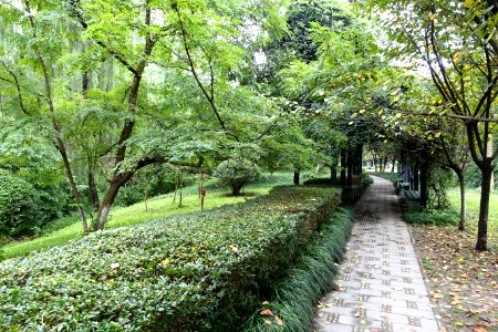 Dashahe River Greenway - Chengdu, China - DSC05524