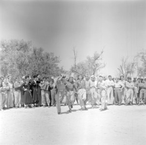 Dansende leden van een eenheid Druzen uit het Israelische leger begeleid op de f, Bestanddeelnr 255-0968