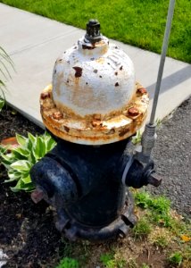 Darling fire hydrant - Arlington, MA