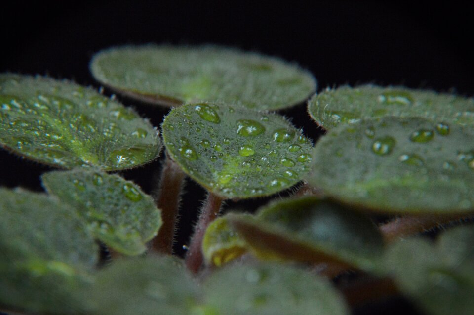 Nature wet drops of water