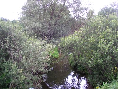 Darna river 2