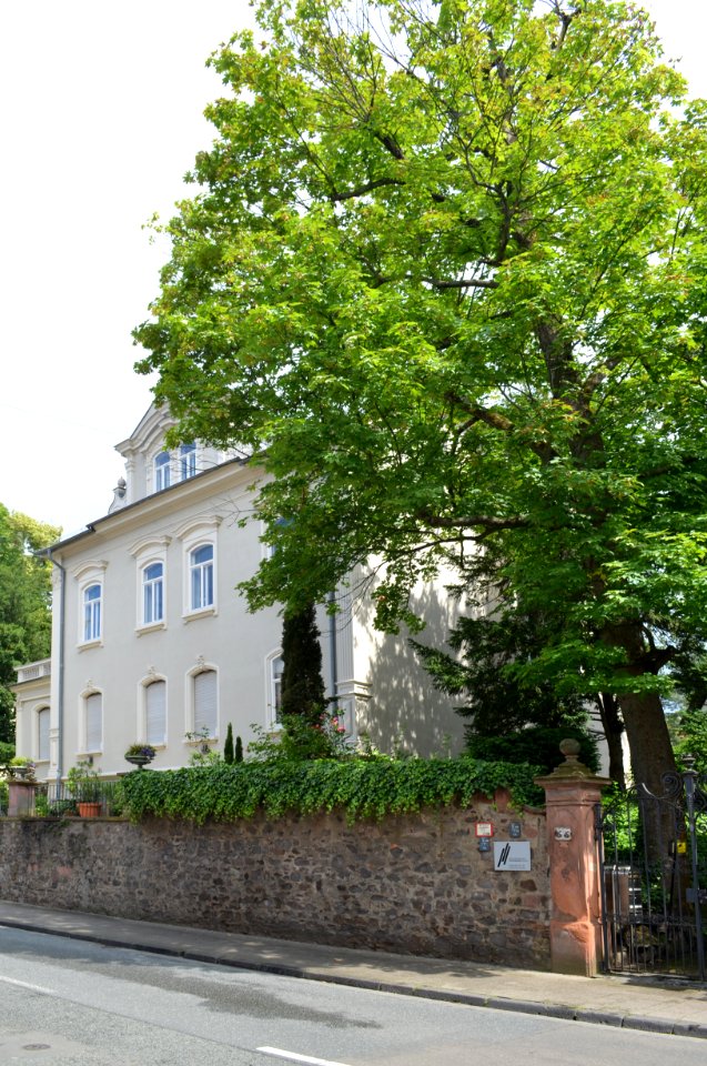Darmstadt, Dieburger Straße 55 (1)