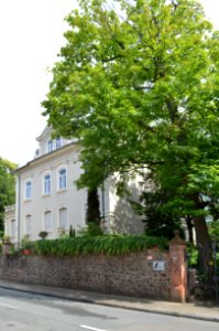 Darmstadt, Dieburger Straße 55 (1)