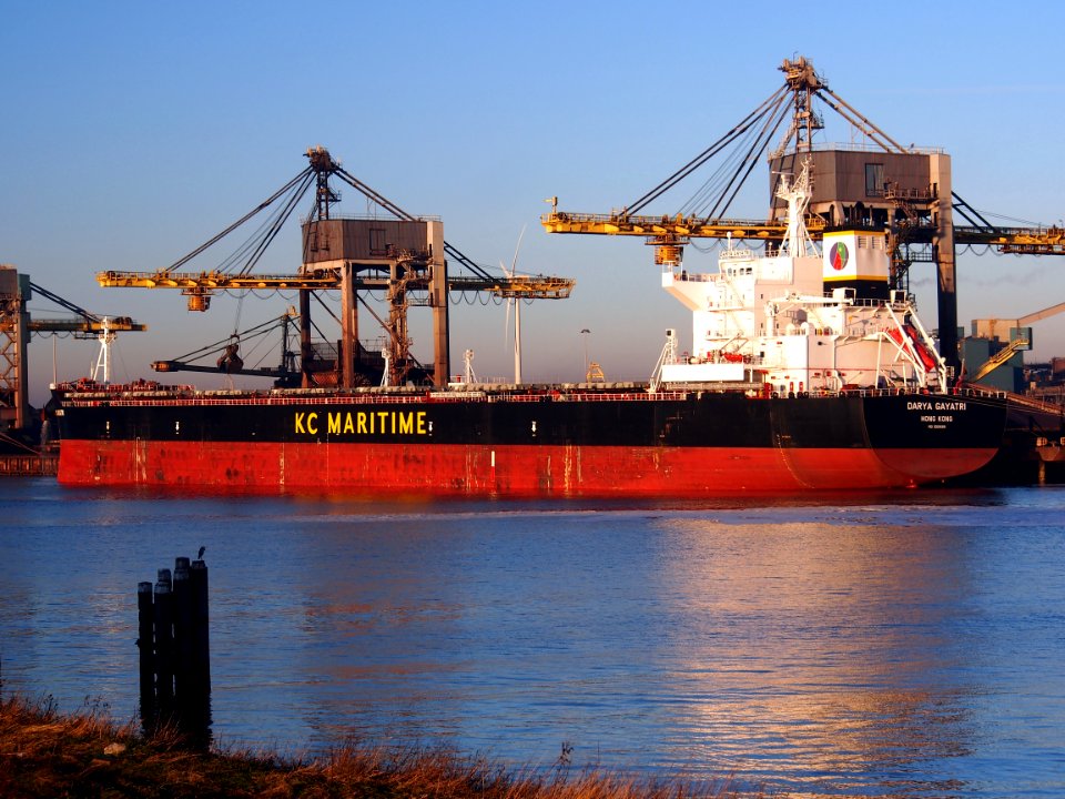 Darya Gayatri IMO 9591686 at IJmuiden, Port of Amsterdam, pic2