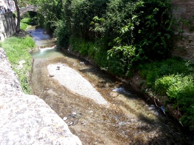 DarroRio