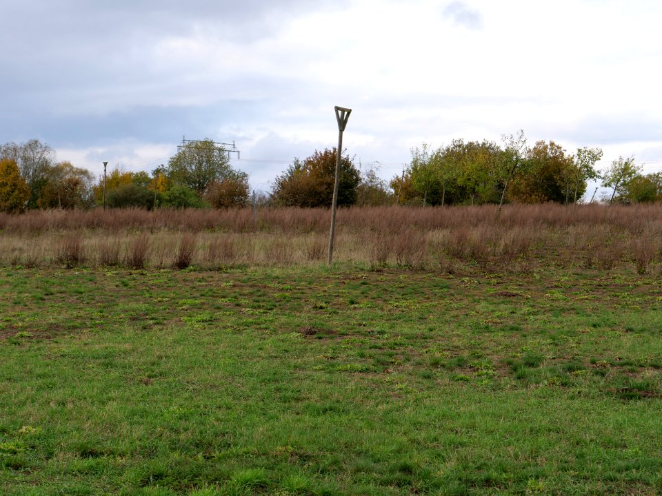 Das Heidefeld Großbeeren on 2019-11-05 20