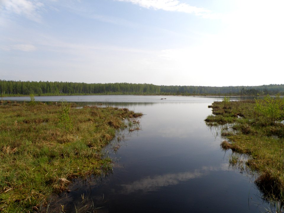 Daryino Lake (near Novki)