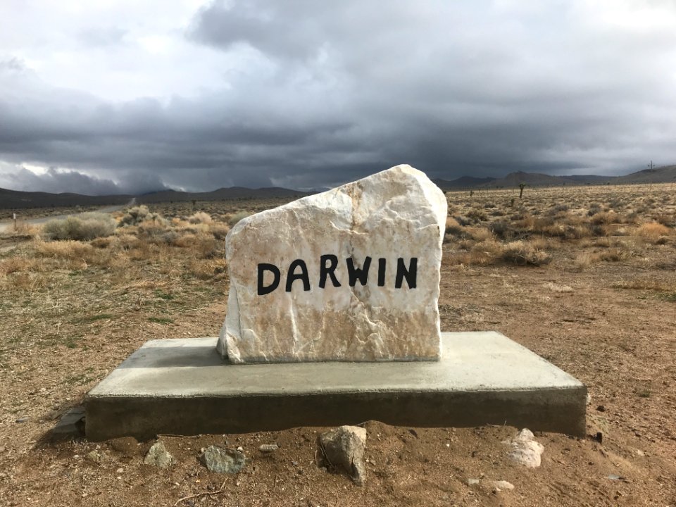 Darwin Monument at the Intersection of HWY 190 and Darwin Road