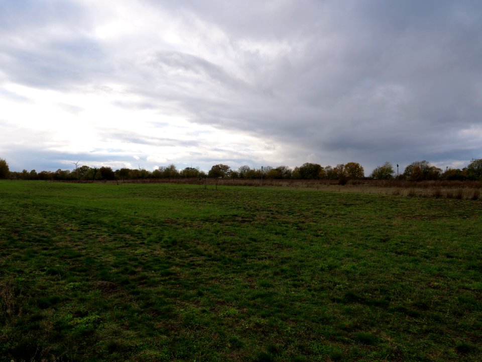 Das Heidefeld Großbeeren on 2019-11-05 17